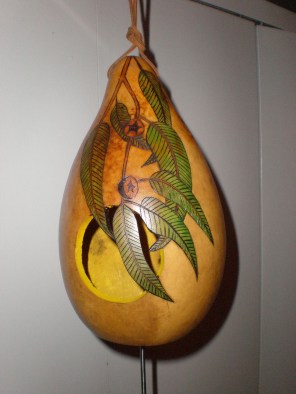 Thunder drum Eucalyptis.jpg